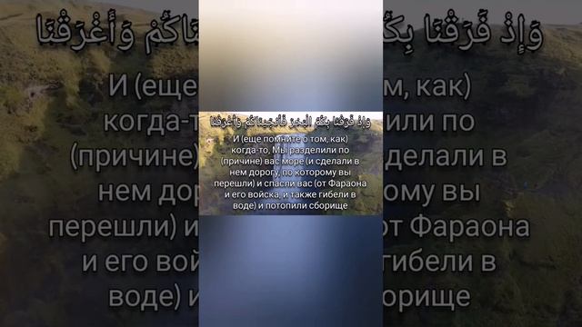 Сура Бакара аяты 49-52 #коран #quran смотреть онлайн