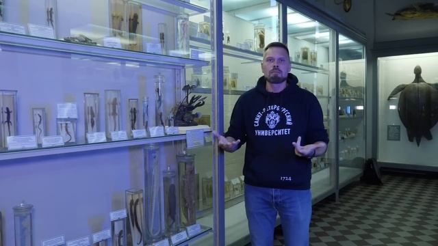 Павел Скучас. Саламандры - супергерои среди земноводных смотреть онлайн