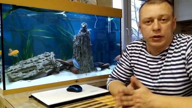 Неистребимый Ауратус смотреть онлайн