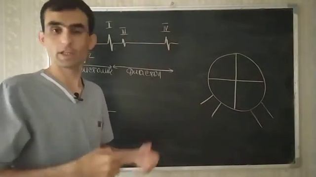 Физиология. Тоны сердце. Фонокардиограмма.#29 смотреть онлайн