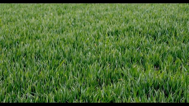 Soothing Music for Relax, Meditate & Study #68 ? संगीत को आराम ? リラックス音楽 ? 음악을 이완하십시오 ? Chillout смотреть онлайн