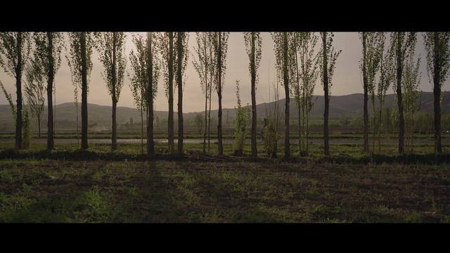 Road to the ocean, Дорога к океану смотреть онлайн