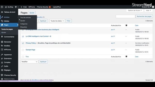 Comment Installer Des Plug-in Sur WordPress (plus Une Petite Surprise) REUPLOAD