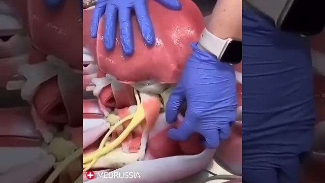 Синтетический человек смотреть онлайн