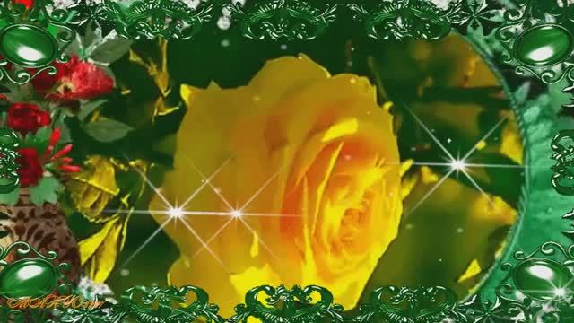 Шикарные цветы- Для красивой женщины в День Рождения! смотреть онлайн