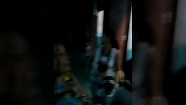 Отдых в Сочи. Экскурсия. Аквариум на Мацесте. Пингвины. смотреть онлайн