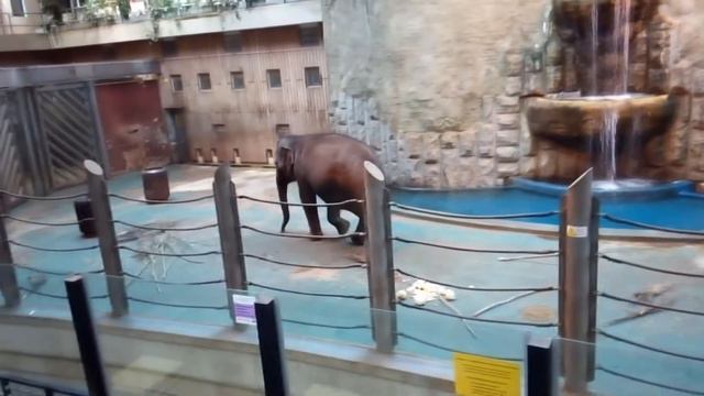 Московский слон смотреть онлайн