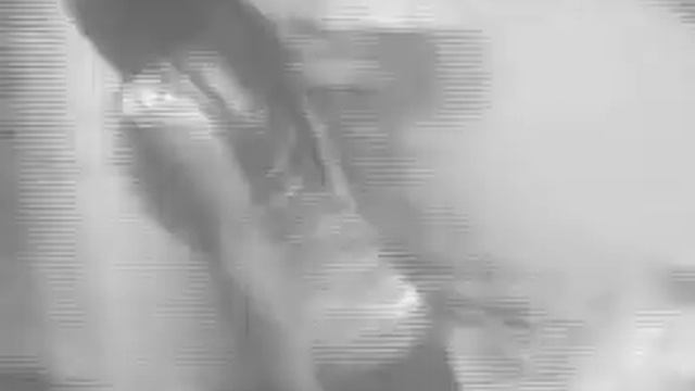 Sadako Sasaki смотреть онлайн