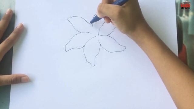 How to Draw a Lily Flower Outline | Easy Lily Drawing Step by Step Sketch смотреть онлайн