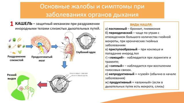 4.1. Заболевания органов дыхания смотреть онлайн