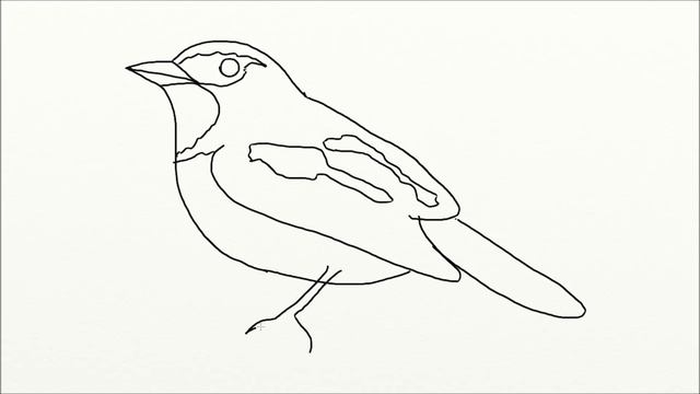 How to Draw a Bird Step by Step. Birds Drawings for Kids смотреть онлайн
