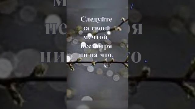 Где то далеко есть остров и вашей мечты… смотреть онлайн