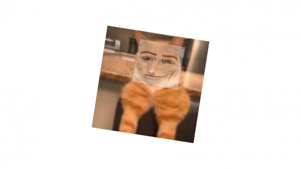 🤫🧏 𝚖𝚎𝚠𝚒𝚗𝚐