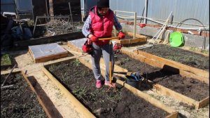 как копать огород не напрягая спину?!  3 отличных инструмента для огорода.