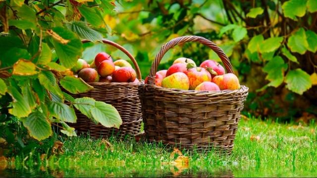 Август ,Константин Бальмонт , Русская Поэзия ,читает Павел Беседин смотреть онлайн