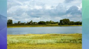 Тюменцевский район Алтайского края