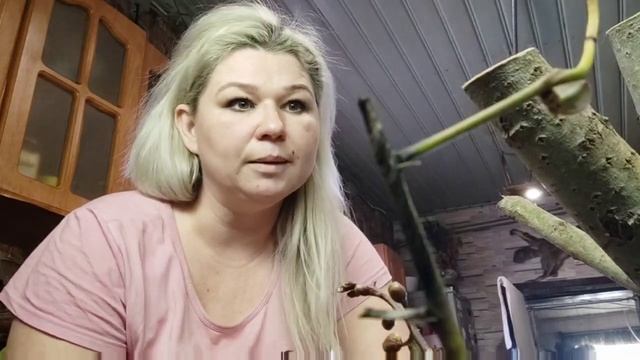 Надеюсь я от них избавилась!!! Орхидеи на подставке - как им живётся? смотреть онлайн