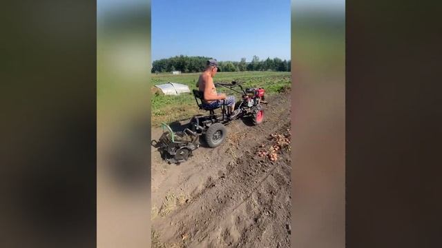 Копаем картофель смотреть онлайн