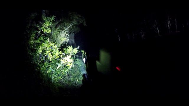 European Mil-Sim Night Raid - Magfed Paintball【 Warheads Paintball 】 смотреть онлайн