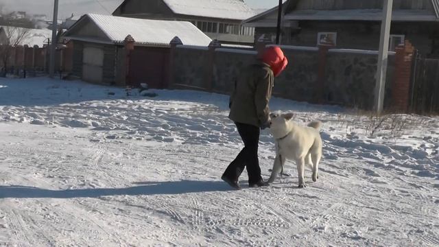 Тренировка 28.01 смотреть онлайн