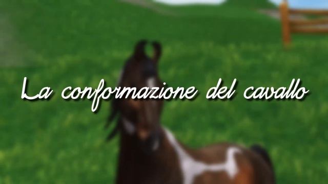 [SSO] Il Manuale Del Cavallo