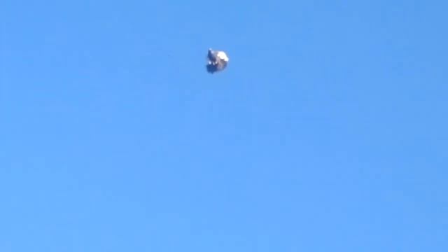 Полет николаевских голубей г.Саратов Игорь М. 89372624743 смотреть онлайн