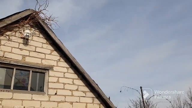 144. Подкормил чеснок и клубнику. Урожай редиски. Как пишут камеры видеонаблюдения. смотреть онлайн