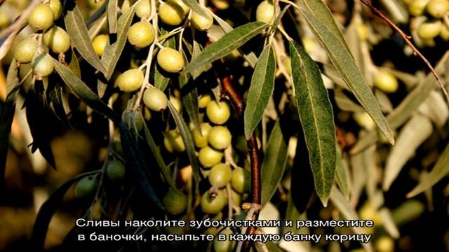 Вкусные рецепты с грибами