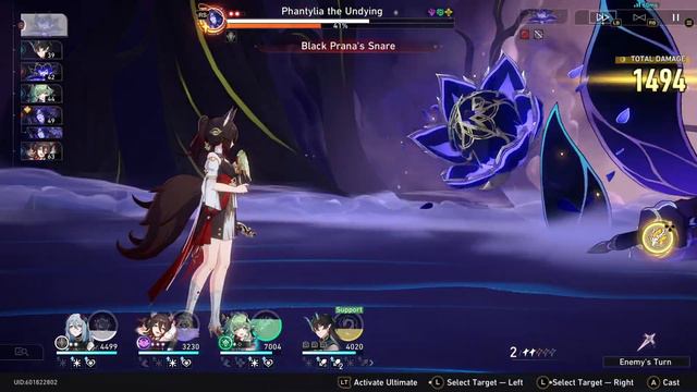 Divine Seed [Echo of War] | Honkai: Star Rail смотреть онлайн
