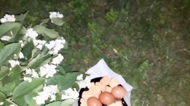 Ритуал - онлайн На срочную покупку недвижимости на солнцестояние. К Хозяину мира. смотреть онлайн