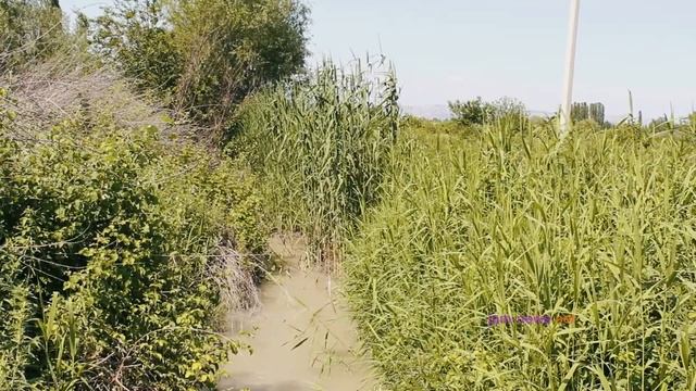 Хозяин озера - и водоем, и зону отдыха Зохраб создал сам. Гёйчай, Аззербайджан смотреть онлайн