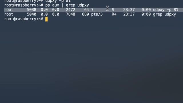 Multicast to Unicast with udpxy смотреть онлайн