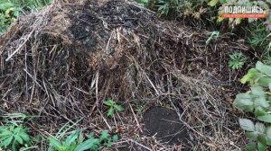 ТЁПЛЫЕ грядки своими руками #2 | ЧЕМ НАПОЛНЯТЬ высокие грядки