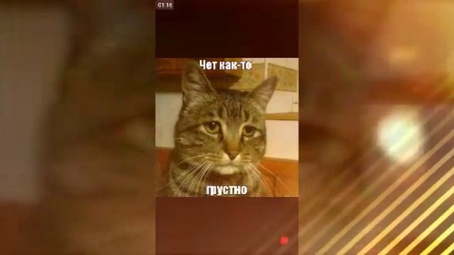 Мои соболезнования смотреть онлайн