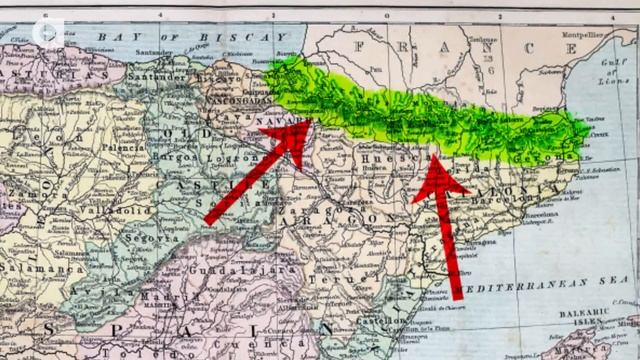 Mini Australian Shepherds Facts смотреть онлайн