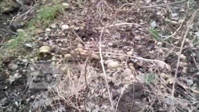 Армавир Череп 2 смотреть онлайн