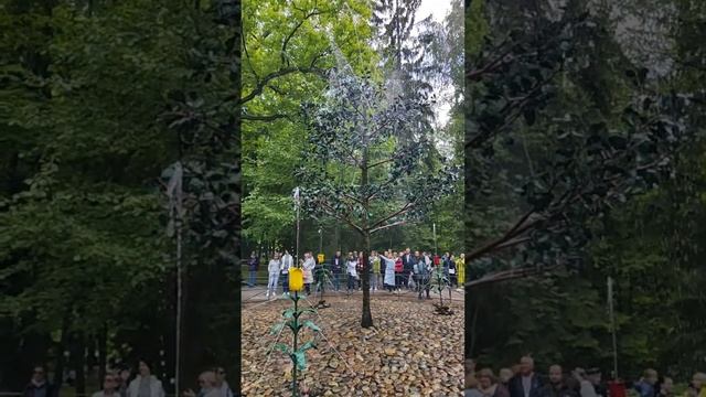 Экскурсия: Кронштадт и Петергоф с "Гид Срб" смотреть онлайн