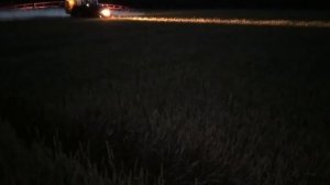 Озимая пшеница. Подкормка карбамидом и сульфатом магния