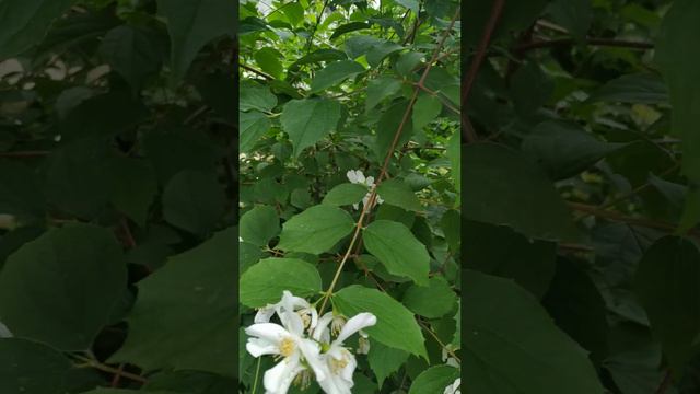 17 июня 2023 г. смотреть онлайн