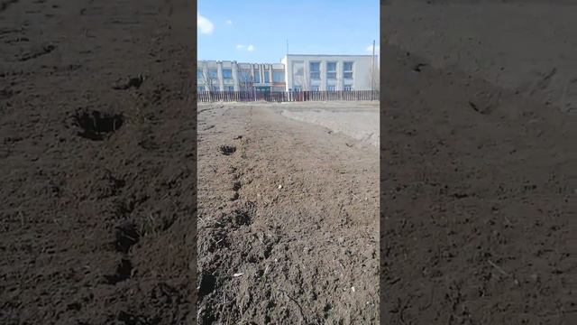 Фреза мотоблока работает не правильно смотреть онлайн