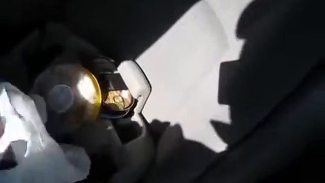 АМЕРИКА #62 почему в США черная икра дешевле чем в России !!! смотреть онлайн