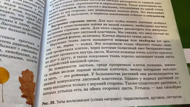 Биология/6 класс/Исаева/Тема: Лист.Внешнее и внутреннее Строение/20.12.20 смотреть онлайн