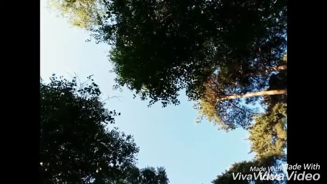 МОИ "ПРОФЕССИОНАЛЬНЫЕ ФОТОГРАФИИ"♥ смотреть онлайн