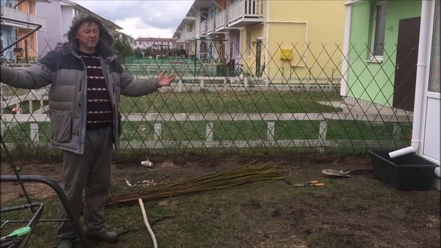 ПАВИВА .Посадка изгороди из ивы у заказчиков. Советы нашим заказчикам. Видео с разных участков. смотреть онлайн