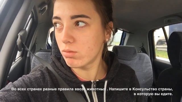 Нижний Тагил. ЧИПИРОВАНИЕ КОТА смотреть онлайн