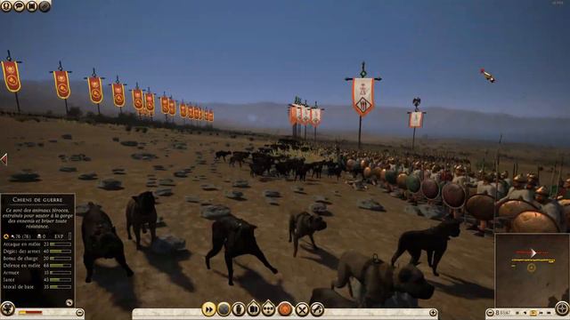 Romans used war dogs too, here is the proof смотреть онлайн