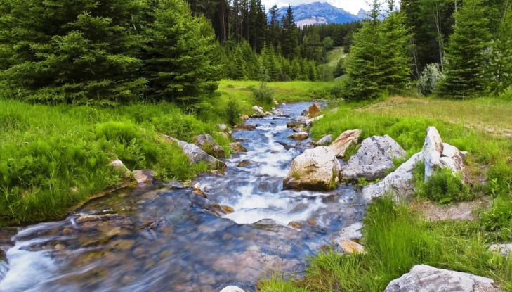Успокаивающие Звуки. Журчание реки с прекрасным солнечным светом, просачивающимся сквозь деревья смотреть онлайн