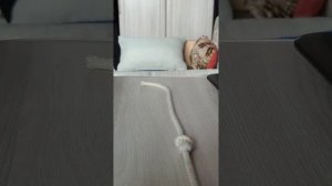 как легко завязать узел "питон"