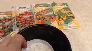 # горшечные томаты#ранний посев