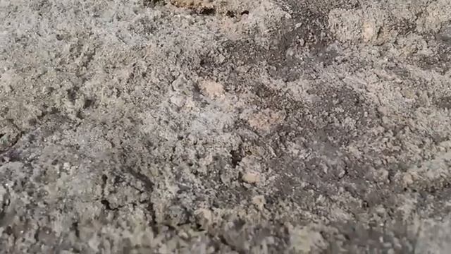Засохшее озеро посреди степи/Dried lake in the middle of the steppe смотреть онлайн